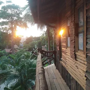 Orchid Koh Tao